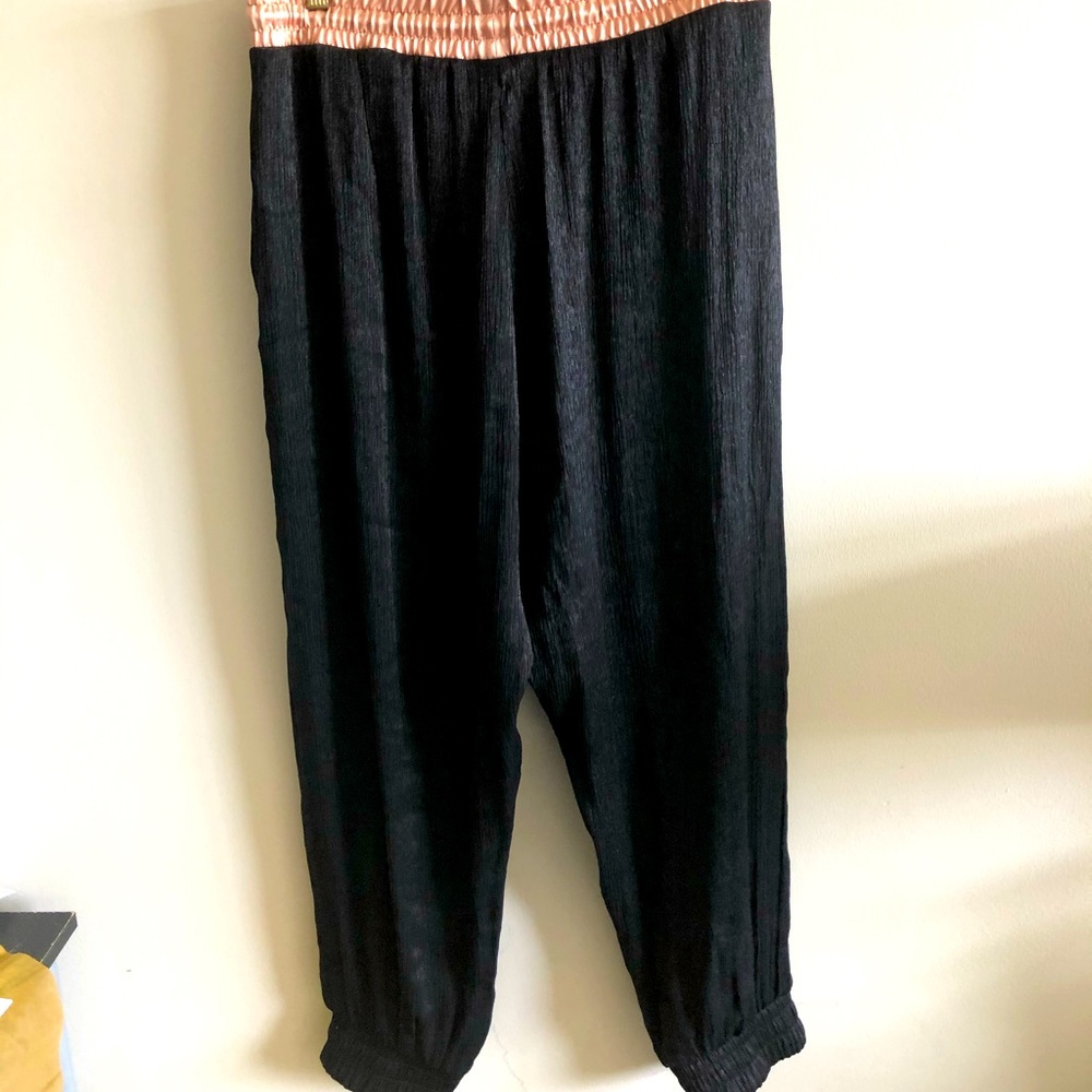 Zara pants